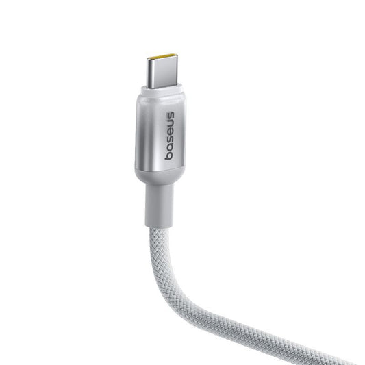Kabel za podatke in polnjenje USB-C - USB-C Baseus Discolor, 100W, 1m, Srebrn E0420701