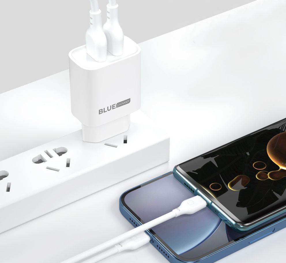 Blue Power BPCE02M omrežni polnilnik s kablom microUSB, 10,5 W, 2,1 A, 2 x USB-A, bel