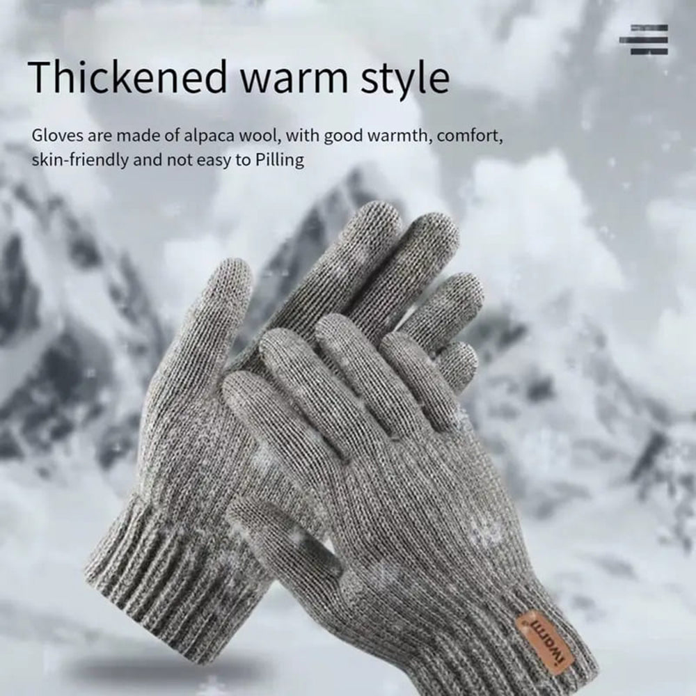Zimske taktilne rokavice Iwarm ST0016, velikost 22 cm, rjave