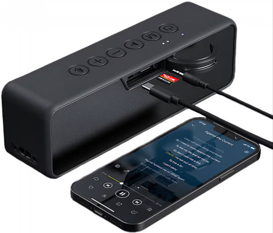 Bluetooth zvočnik BlitzWolf BW-WA4, 30W, TWS, vodoodporen, črn