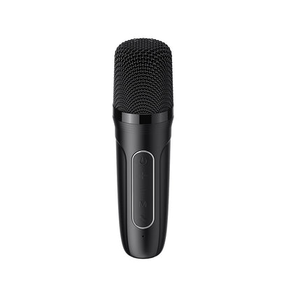 Prenosni Bluetooth zvočnik HAVIT SK819BT Karaoke, 5W, črn