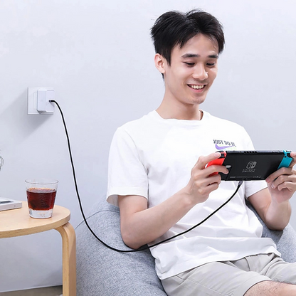 Kabel za podatke in polnjenje USB-C - USB-C UGREEN US316, 100W, 3m, Siv