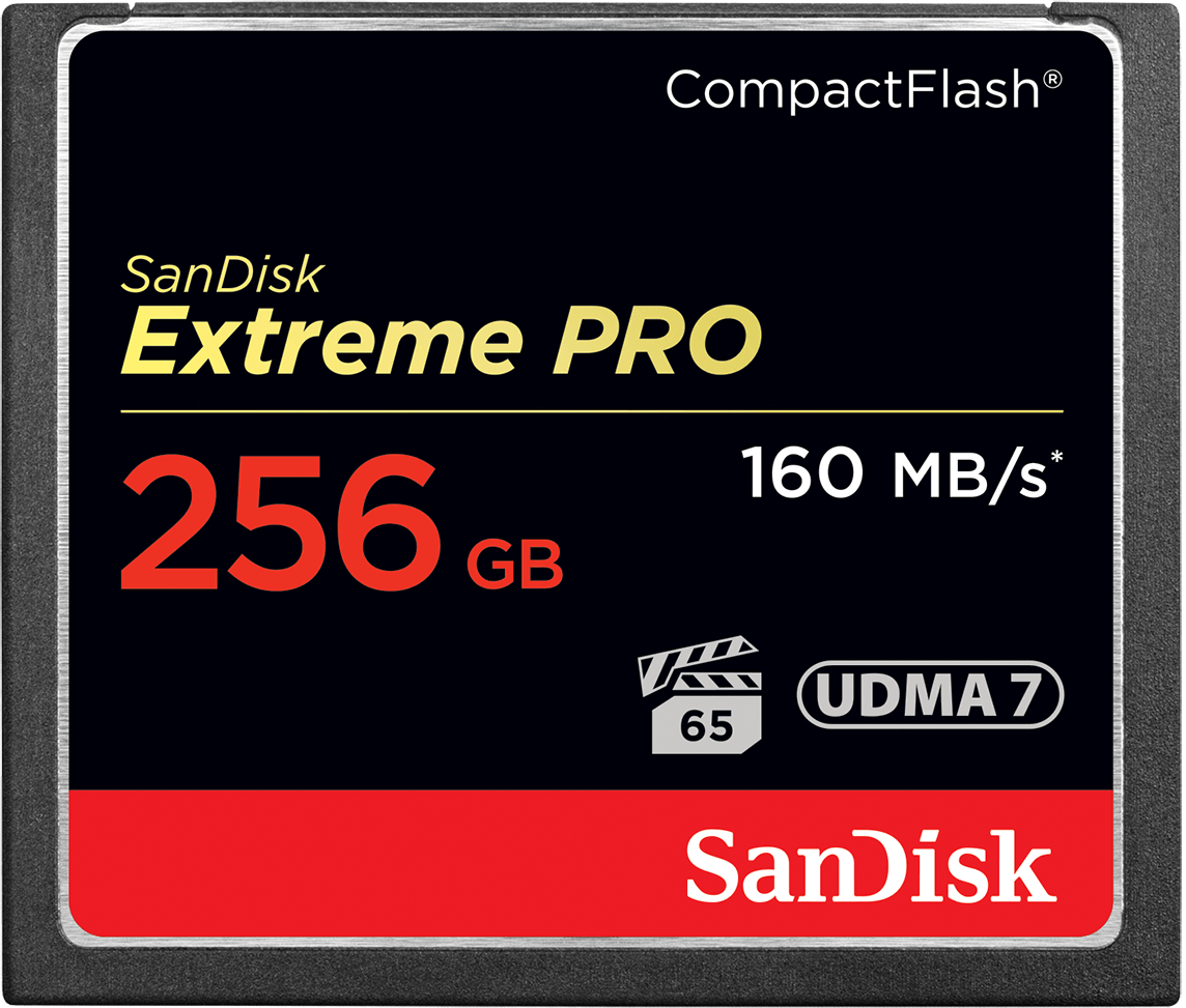 Spominska kartica CompactFlash SanDisk Extreme Pro, 256Gb, UDMA 7 SDCFXPS-256G-X46