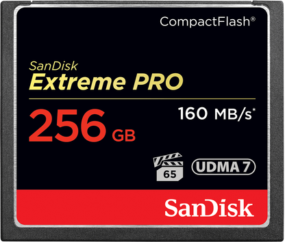 Spominska kartica CompactFlash SanDisk Extreme Pro, 256Gb, UDMA 7 SDCFXPS-256G-X46