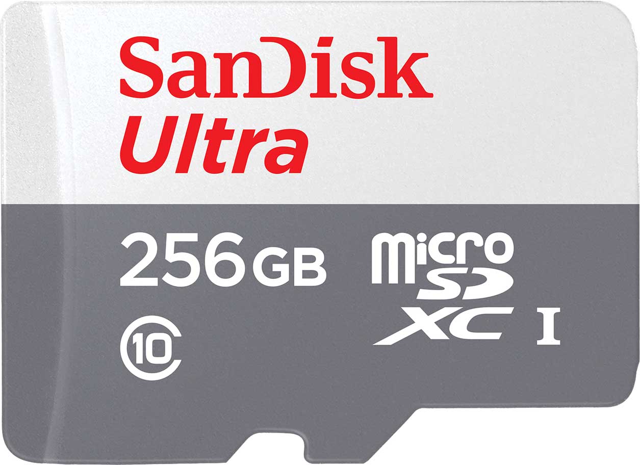 Spominska kartica microSDXC SanDisk Ultra, 256Gb, Razred 10 SDSQUNR-256G-GN3MN