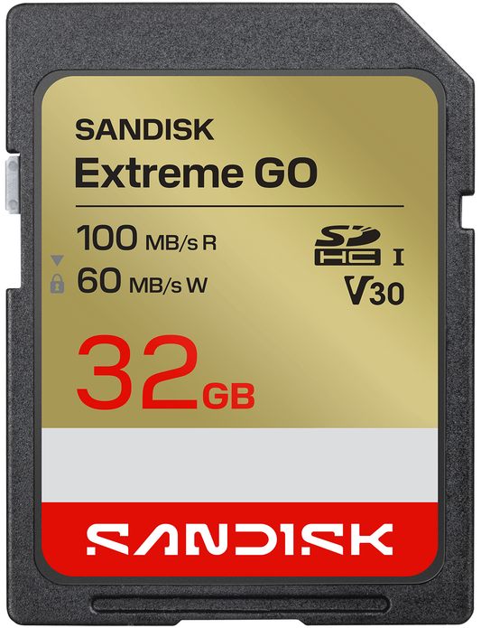 SDHC pomnilniška kartica SanDisk Extreme Go, 32Gb, razred 10 / UHS-1 U1 SDSDXGN-032G-GNCIN