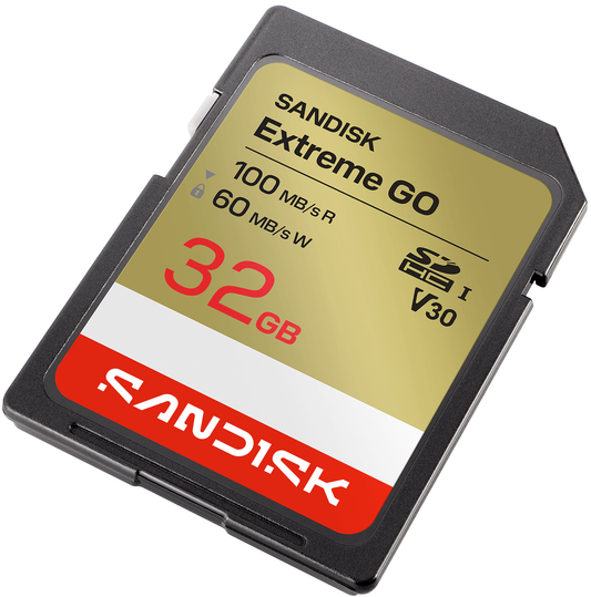 SDHC pomnilniška kartica SanDisk Extreme Go, 32Gb, razred 10 / UHS-1 U1 SDSDXGN-032G-GNCIN