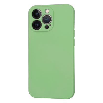 MagSafe Case for Apple iPhone 13 Pro, Techsuit, SoftFlex, Light Green