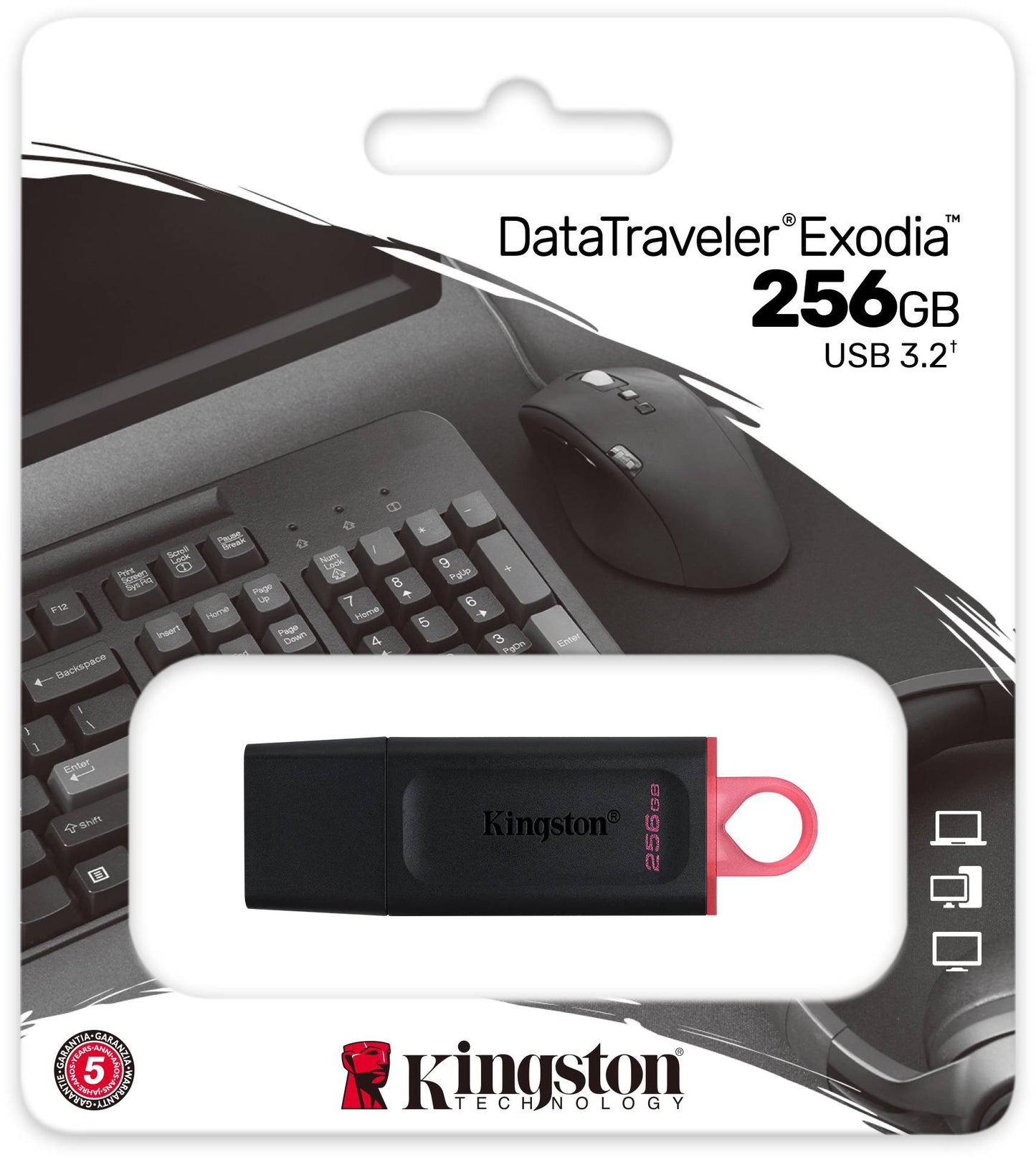 Zunanji pomnilnik USB-A 3.2 Kingston DT Exodia, 256Gb DTX/256GB