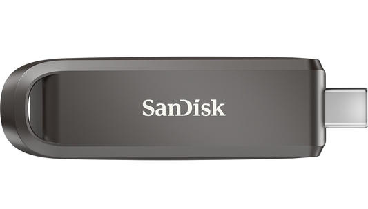 Zunanji pomnilnik USB-C SanDisk Extreme Pro, 256Gb SDCZ890-256G-G46