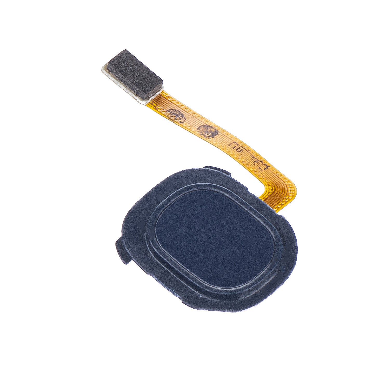 Senzor prstnih odtisov Samsung Galaxy Galaxy A20 A205 / A20e A202, s trakom, modri