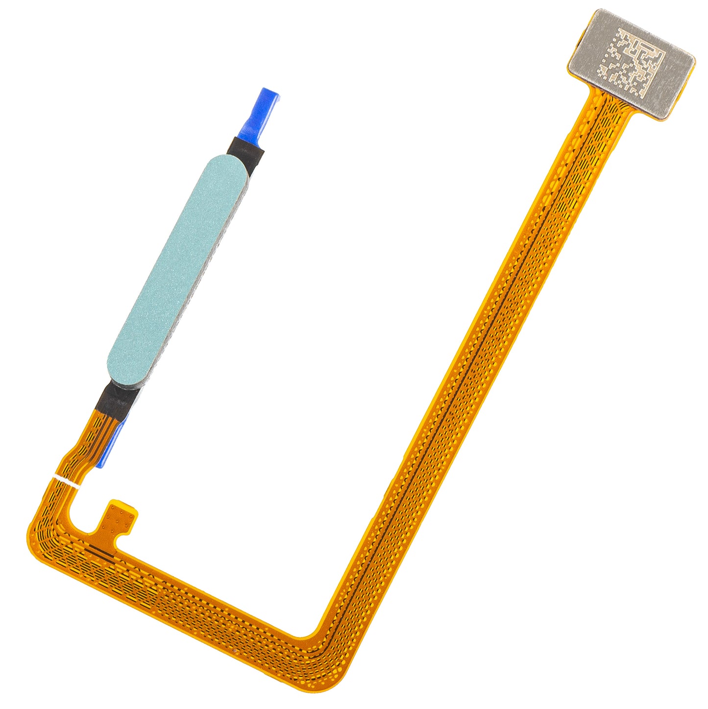 Honor X5c Plus Fingerprint Sensor, with strip, Turquoise (Cyan Lake), Service Pack 9707ACFG