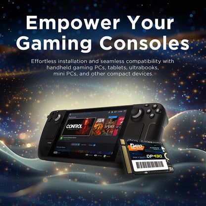 Solid State Drive (SSD) Dato DP430, NVME M.2 2230, PCIE Gen4x4, 1TB, Črn DP430SSD-1TB